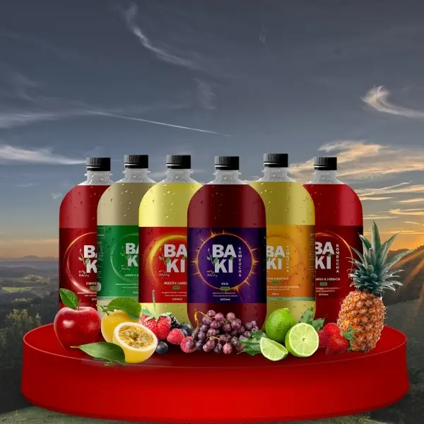 Kit Kombucha Sabores Variados – 9 unidades litro