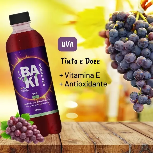 Kit Kombucha Sabores Variados – 9 unidades litro - Image 7